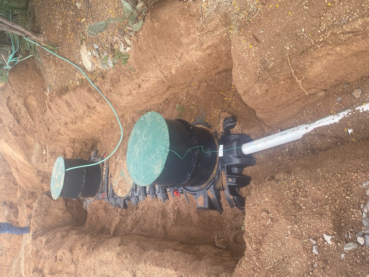 Tree roots growing inside septic pipe requiring repair